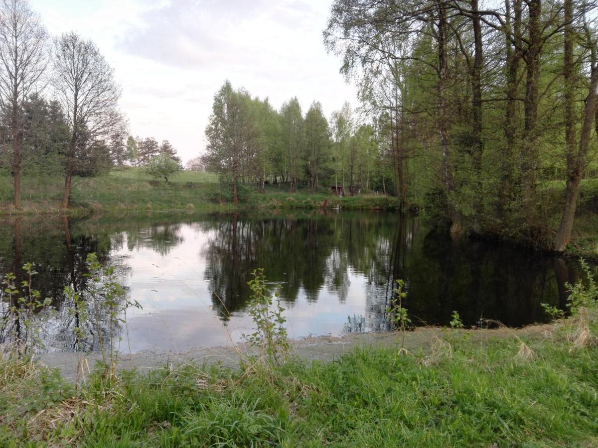 Kaszubska Dolina Pieciu Stawow Villa Wiele Exterior photo